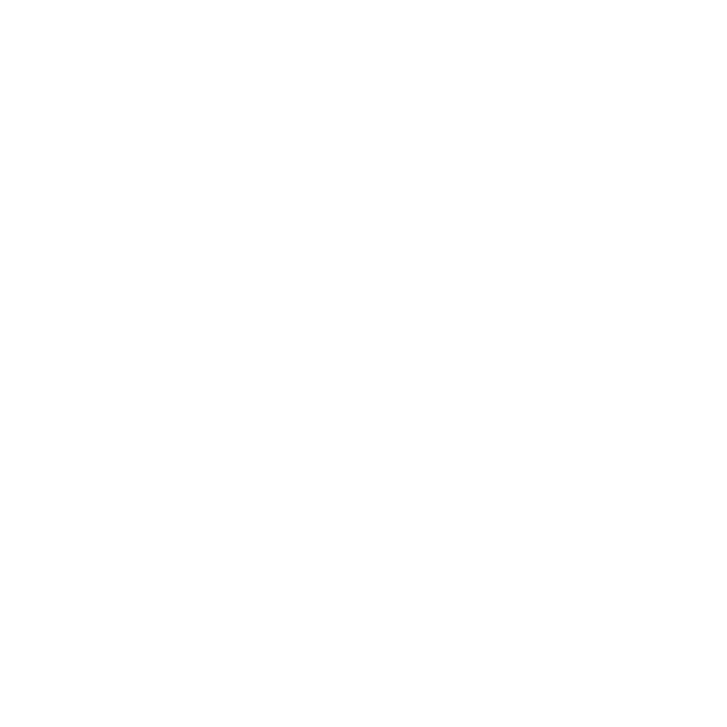 Naughty Dog